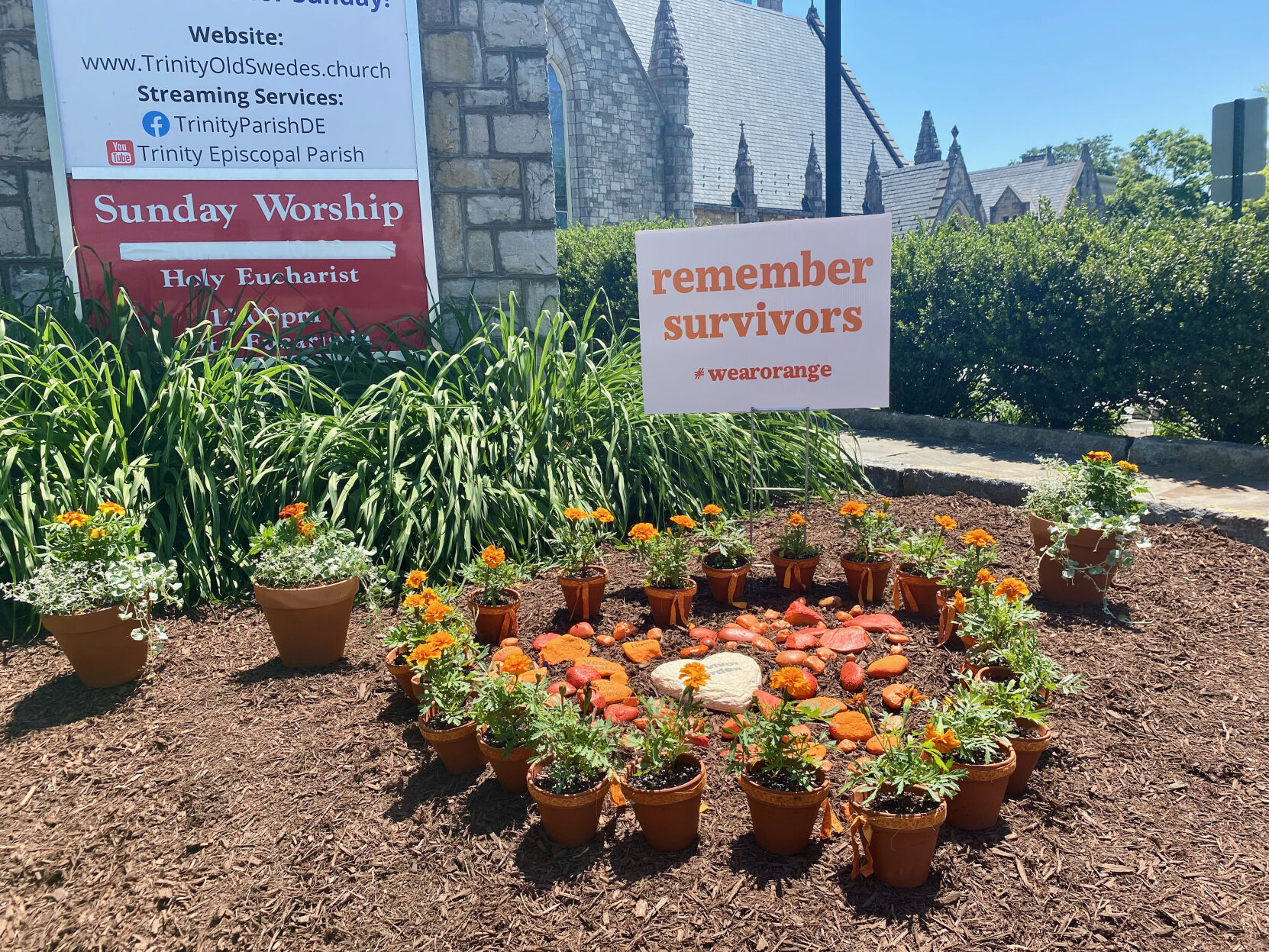 2021 Survivor garden.jpeg